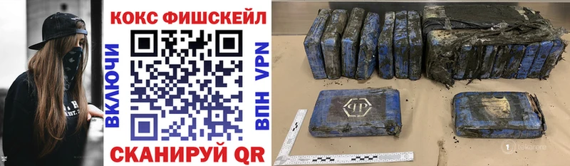COCAIN Fish Scale  Купить где  Петрозаводск 