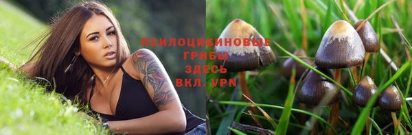 гидра Нея