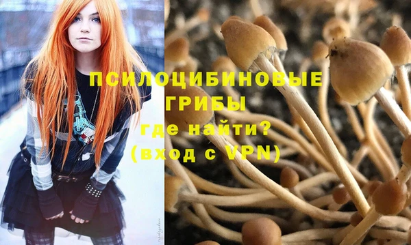 дурь Навашино
