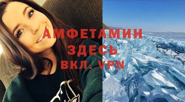 сатива Нефтекумск