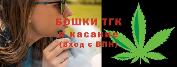 сатива Нефтекумск