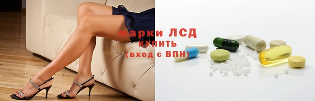 сатива Нефтекумск
