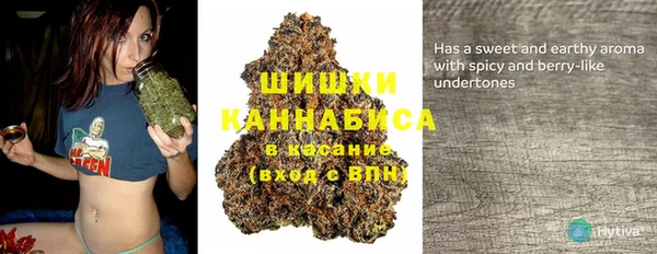 гидра Нея