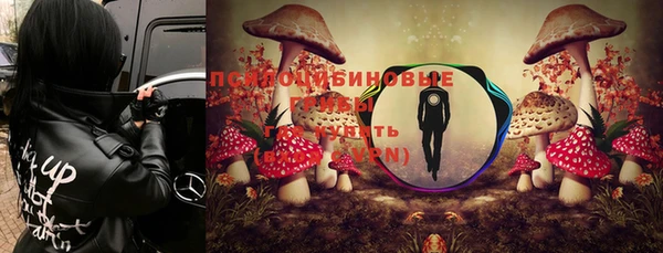 сатива Нефтекумск