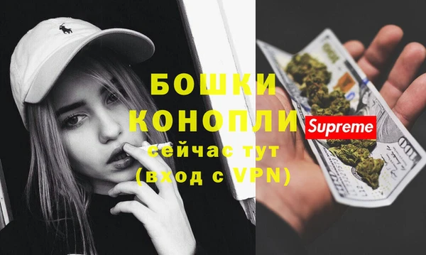сатива Нефтекумск