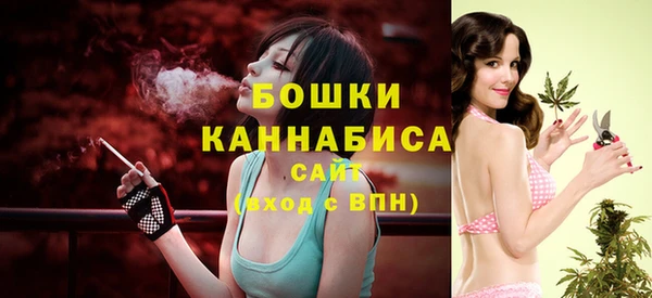 гидра Нея