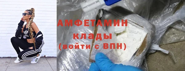 гидра Нея